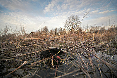 BUITEN BEELD Foto: 73588