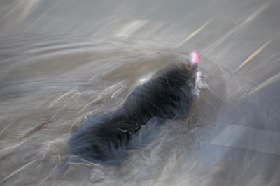 BUITEN BEELD Foto: 73592