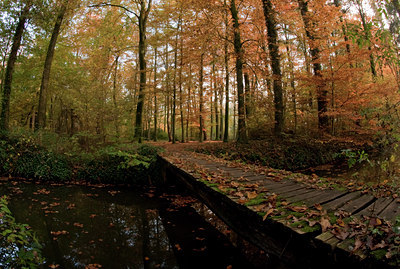 BUITEN BEELD Foto: 73601
