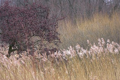 BUITEN BEELD Foto: 73612