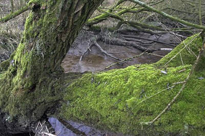 BUITEN BEELD Foto: 73615