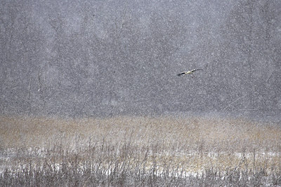 BUITEN BEELD Foto: 73624