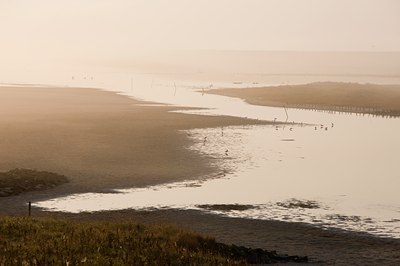 BUITEN BEELD Foto: 73635
