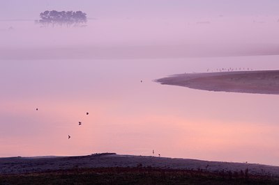 BUITEN BEELD Foto: 73638