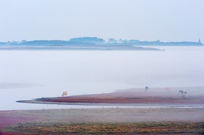 BUITEN BEELD Foto: 73644