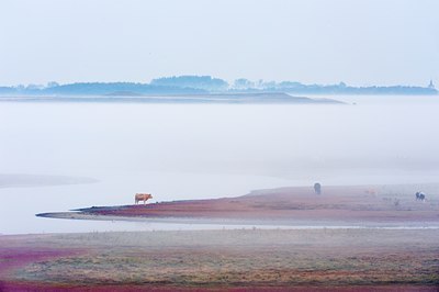 BUITEN BEELD Foto: 73645