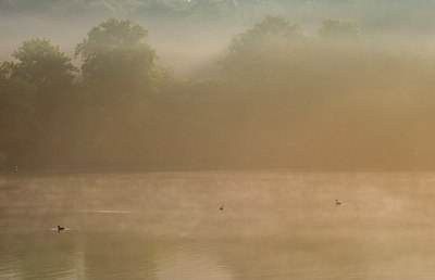 BUITEN BEELD Foto: 73715