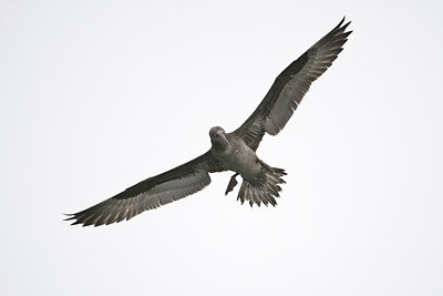 BUITEN BEELD Foto: 73741