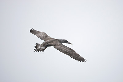 BUITEN BEELD Foto: 73744