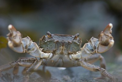 BUITEN BEELD Foto: 73766