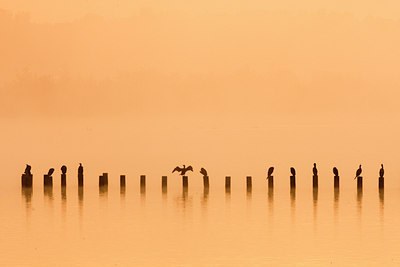 BUITEN BEELD Foto: 73771