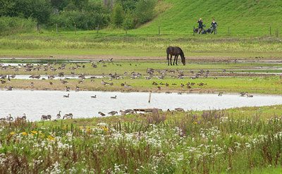 BUITEN BEELD Foto: 73785