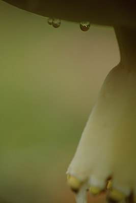 BUITEN BEELD Foto: 73851