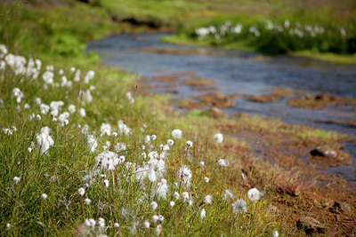 BUITEN BEELD Foto: 73852
