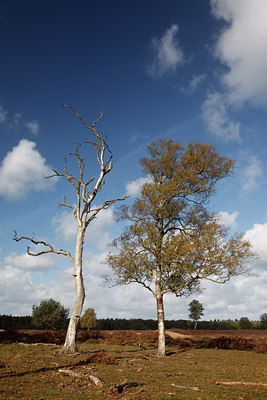 BUITEN BEELD Foto: 73857