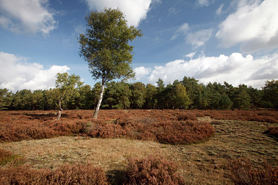 BUITEN BEELD Foto: 73860