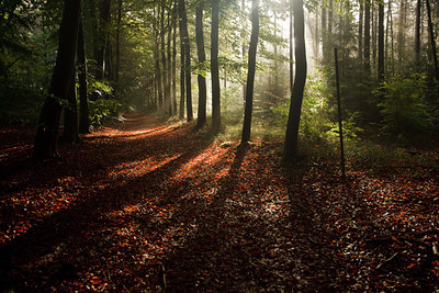 BUITEN BEELD Foto: 73864