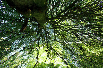 BUITEN BEELD Foto: 73881