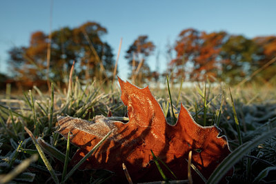 BUITEN BEELD Foto: 73945