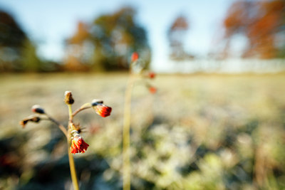 BUITEN BEELD Foto: 73946