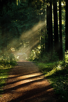 BUITEN BEELD Foto: 73953