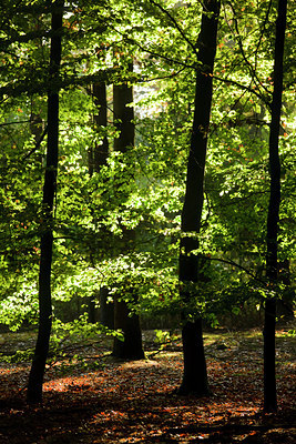 BUITEN BEELD Foto: 73956