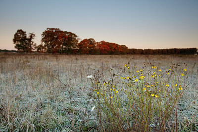 BUITEN BEELD Foto: 73958