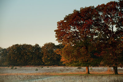 BUITEN BEELD Foto: 73959
