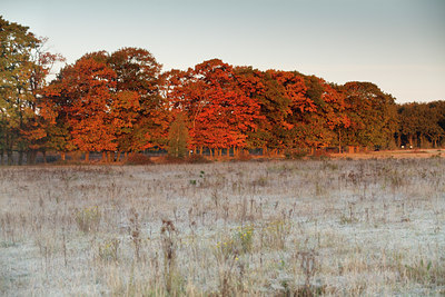 BUITEN BEELD Foto: 73960