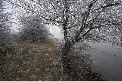 BUITEN BEELD Foto: 74015