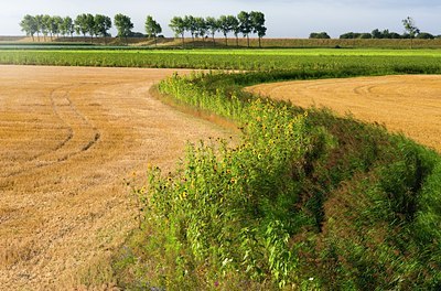 BUITEN BEELD Foto: 74026