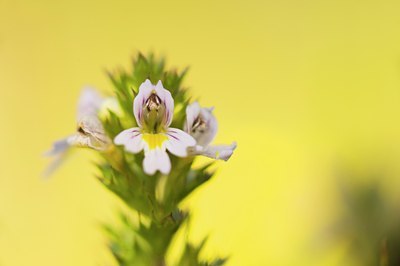 BUITEN BEELD Foto: 74034