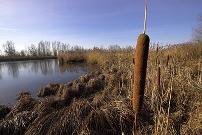 BUITEN BEELD Foto: 74050