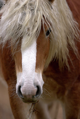 BUITEN BEELD Foto: 74063