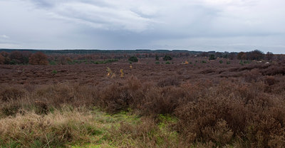 BUITEN BEELD Foto: 74092