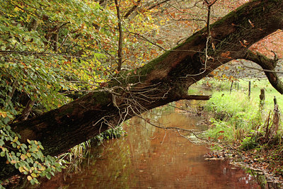 BUITEN BEELD Foto: 74101