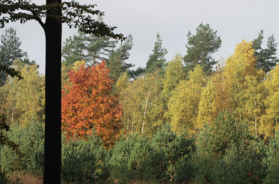 BUITEN BEELD Foto: 74131