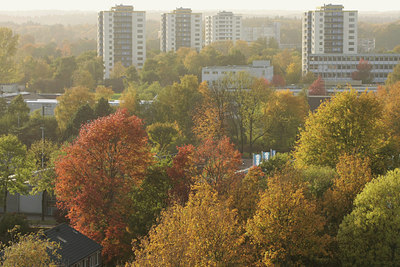 BUITEN BEELD Foto: 74146
