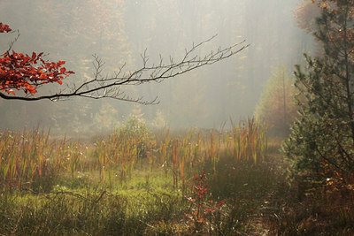 BUITEN BEELD Foto: 74163