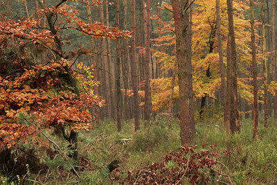 BUITEN BEELD Foto: 74166