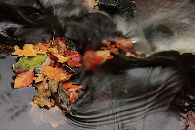 BUITEN BEELD Foto: 74174