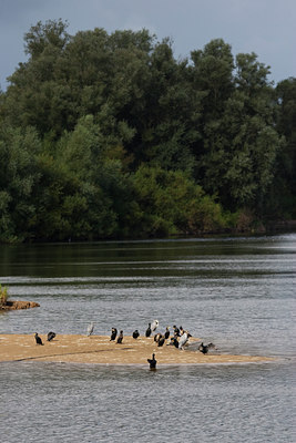 BUITEN BEELD Foto: 74185