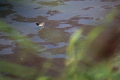 BUITEN BEELD Foto: 74189