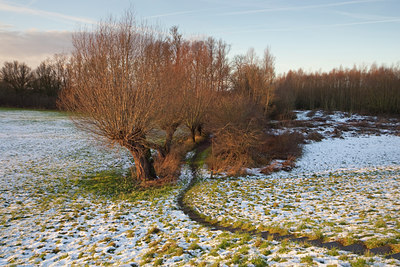 BUITEN BEELD Foto: 74191