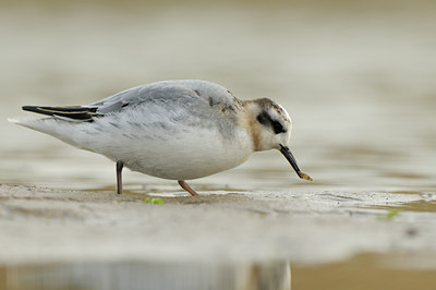 BUITEN BEELD Foto: 74210