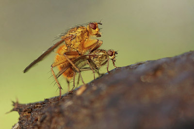 BUITEN BEELD Foto: 74240