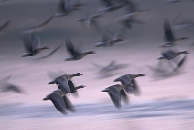 BUITEN BEELD Foto: 74256