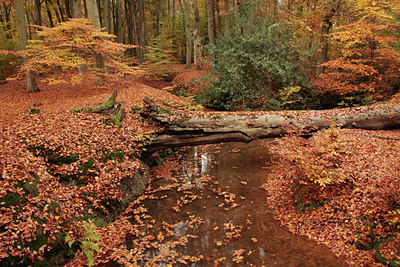 BUITEN BEELD Foto: 74276