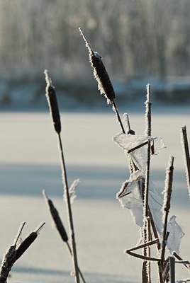 BUITEN BEELD Foto: 74319