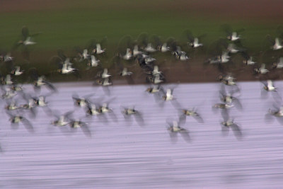 BUITEN BEELD Foto: 74336